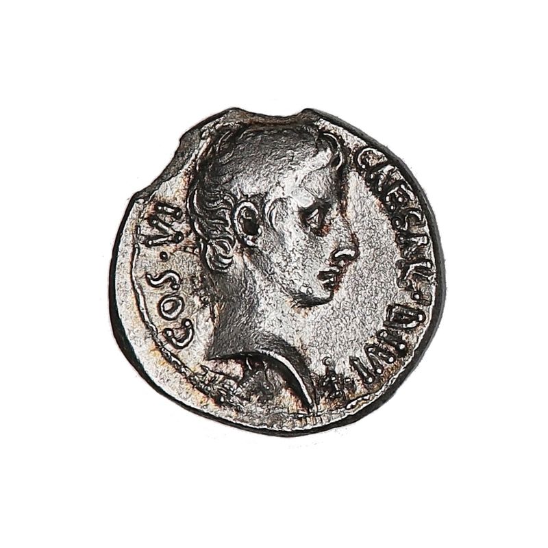 Augustus, Egypt erobret, krokodille