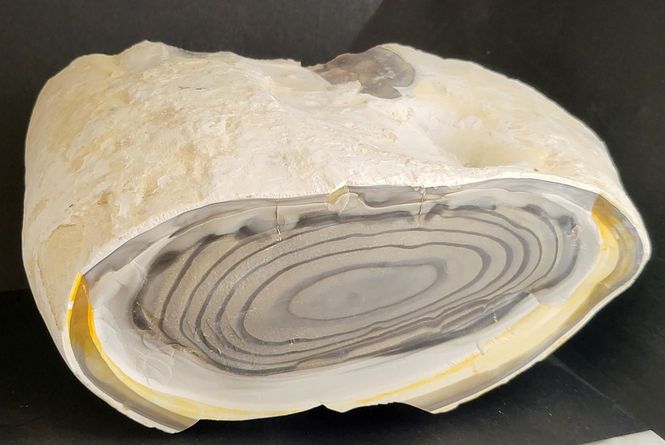 Hovedbilde Stor, dekorativ og naturlig stripete flintknoll med kritt, Polen