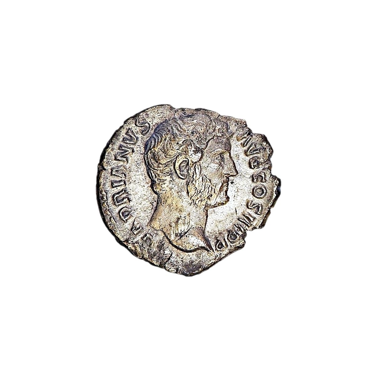 Hadrian, denar,  117-138, Roma