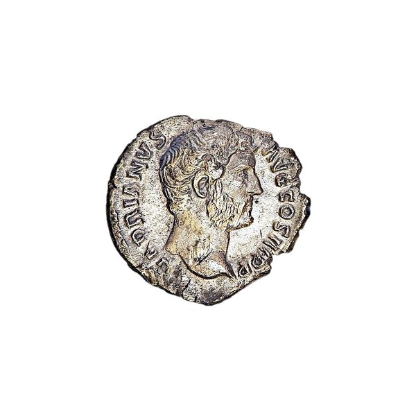 Hovedbilde Hadrian, denar,  117-138, Roma