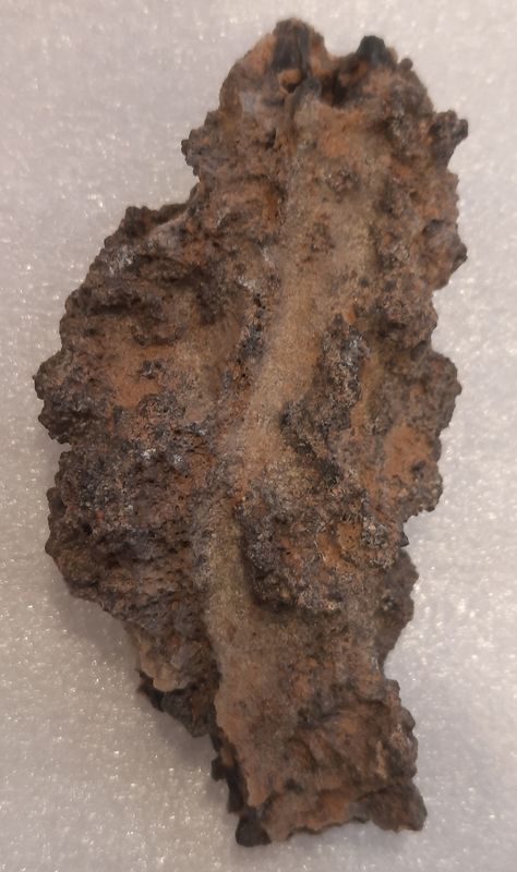 Fulguritt (stein laget av lynnedslag i sand), Egypt