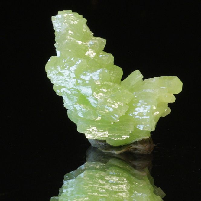 Hovedbilde Pyromorfitt (pyromorphite), San Andrés-gruven, Spania