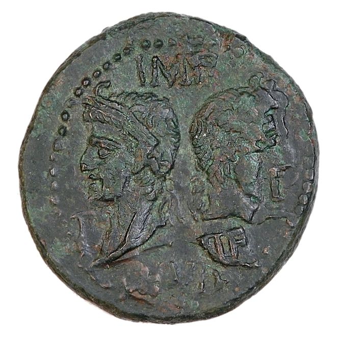 Hovedbilde Augustus, krokodille, 27 f.Kr.-14 e.Kr.
