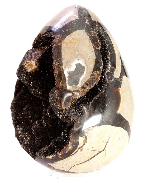 Hovedbilde Septarian (