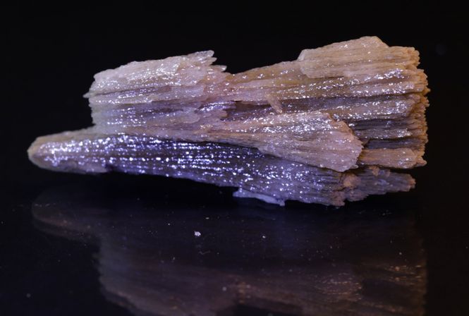 Hovedbilde Kutnohoritt, Kalahari