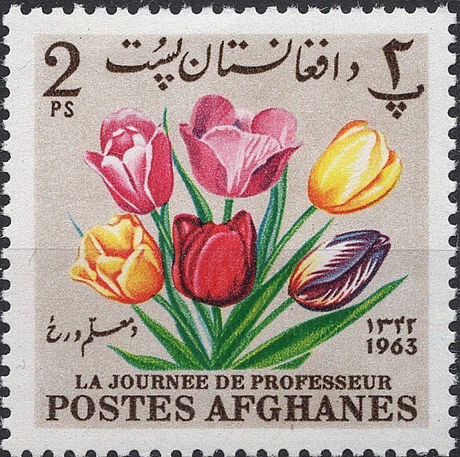 Hovedbilde Blomster og planter, Asia