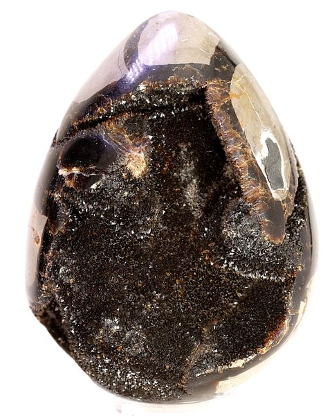 Hovedbilde Septarian (