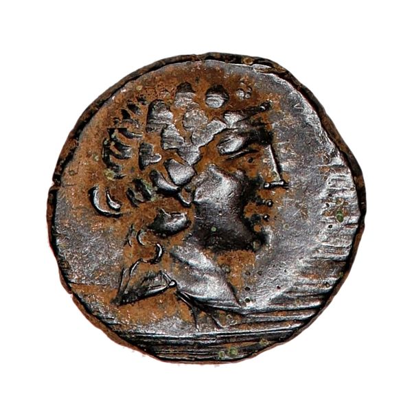 Hovedbilde Bithynia, Prusias II, chalkos, 185-149 f.Kr.