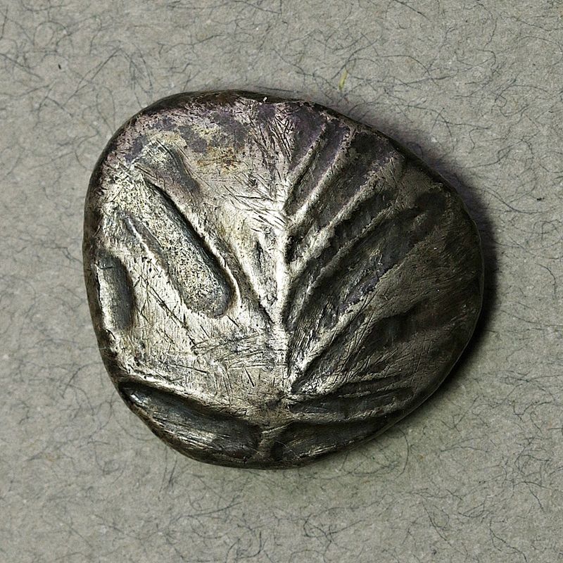 Selinos, didrakme, 540-515 f.Kr.