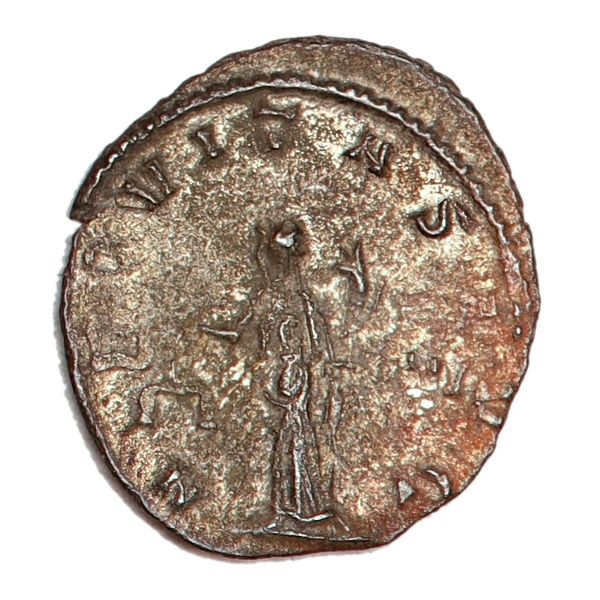Hovedbilde Gallienus, antoninianus,  253-268 