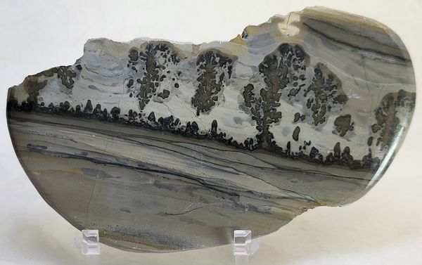 Hovedbilde Cotham Marble, landskapsmarmor