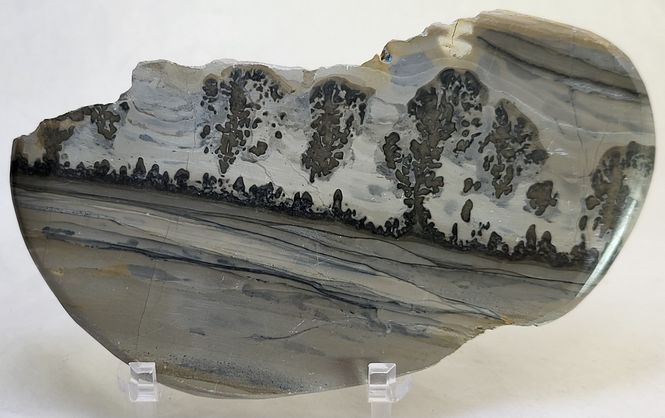 Hovedbilde Cotham Marble, landskapsmarmor