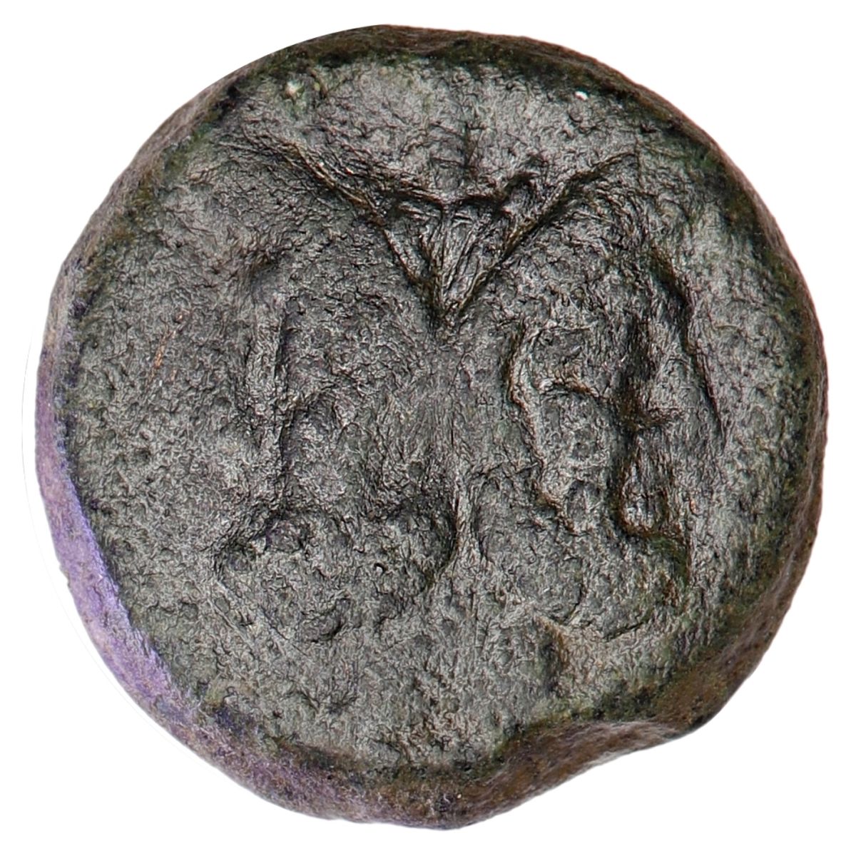 Republikken, as, Janus