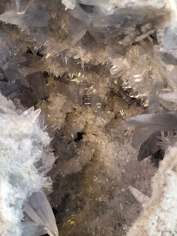 Gigantisk og praktfull cølestingeode, Madagaskar