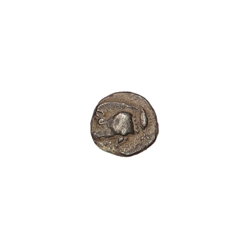 Kyzikos, halv obol, 450-400 f.Kr.