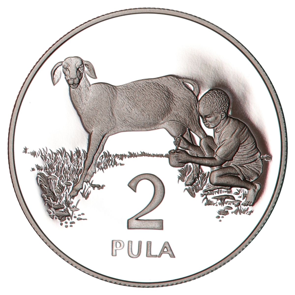 Botswana, 2 pula 1989
