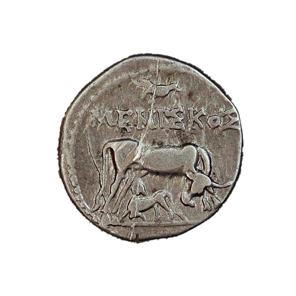 Dyrrhachion, drakme, år 250-200 f.Kr., kråke