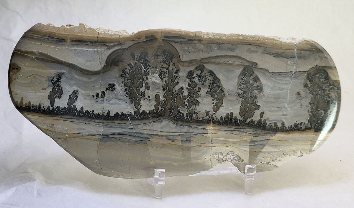 Cotham Marble, landskapsmarmor