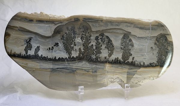 Hovedbilde Cotham Marble, landskapsmarmor