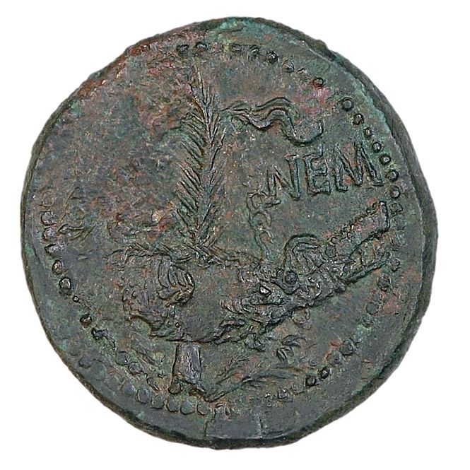 Hovedbilde Augustus, krokodille, 27 f.Kr.-14 e.Kr.