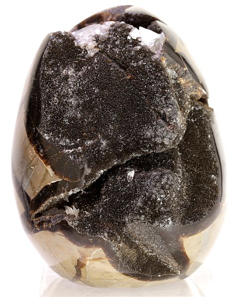 Hovedbilde Septarian (