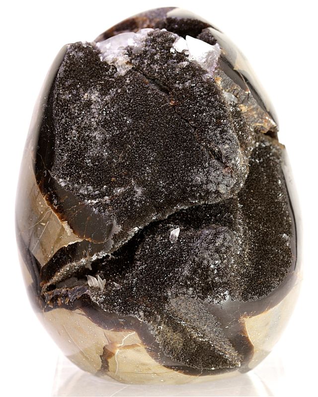 Septarian (