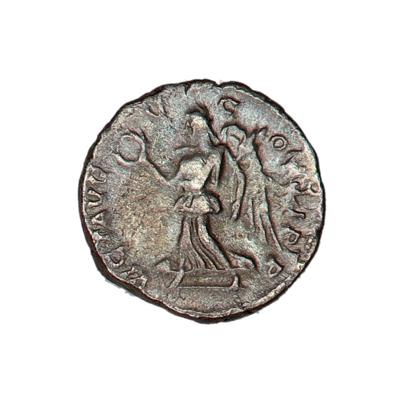 Gladiator, Septimius Severus, denar, 193-211