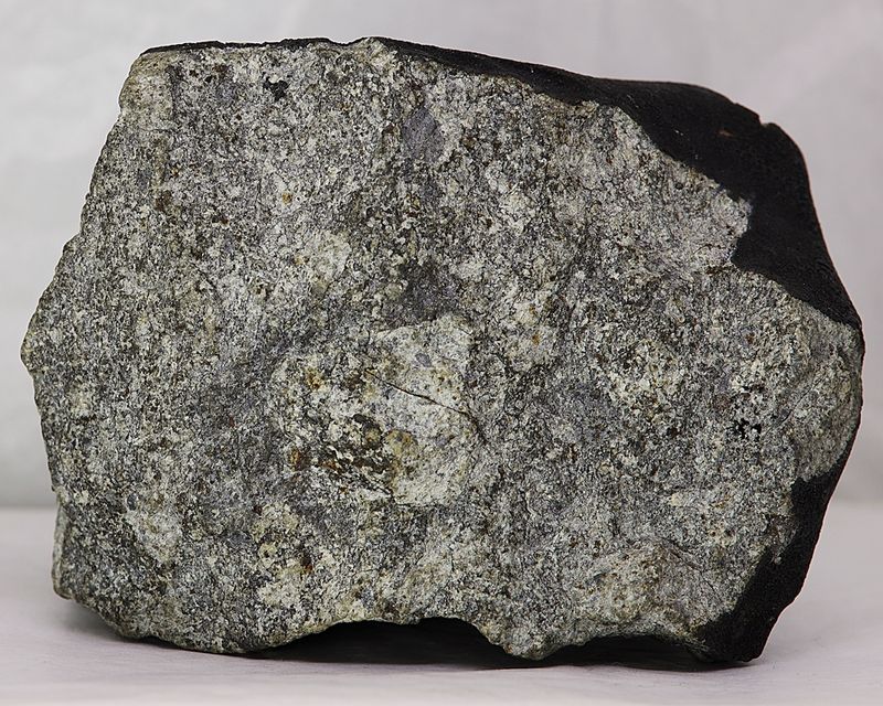 Steinmeteoritt (kondritt, LL6), Benguerir, 725 gram