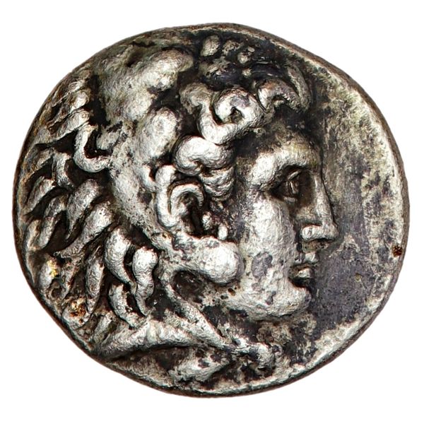 Hovedbilde Seleukos I, for Alexander III, 312-281 f.Kr.
