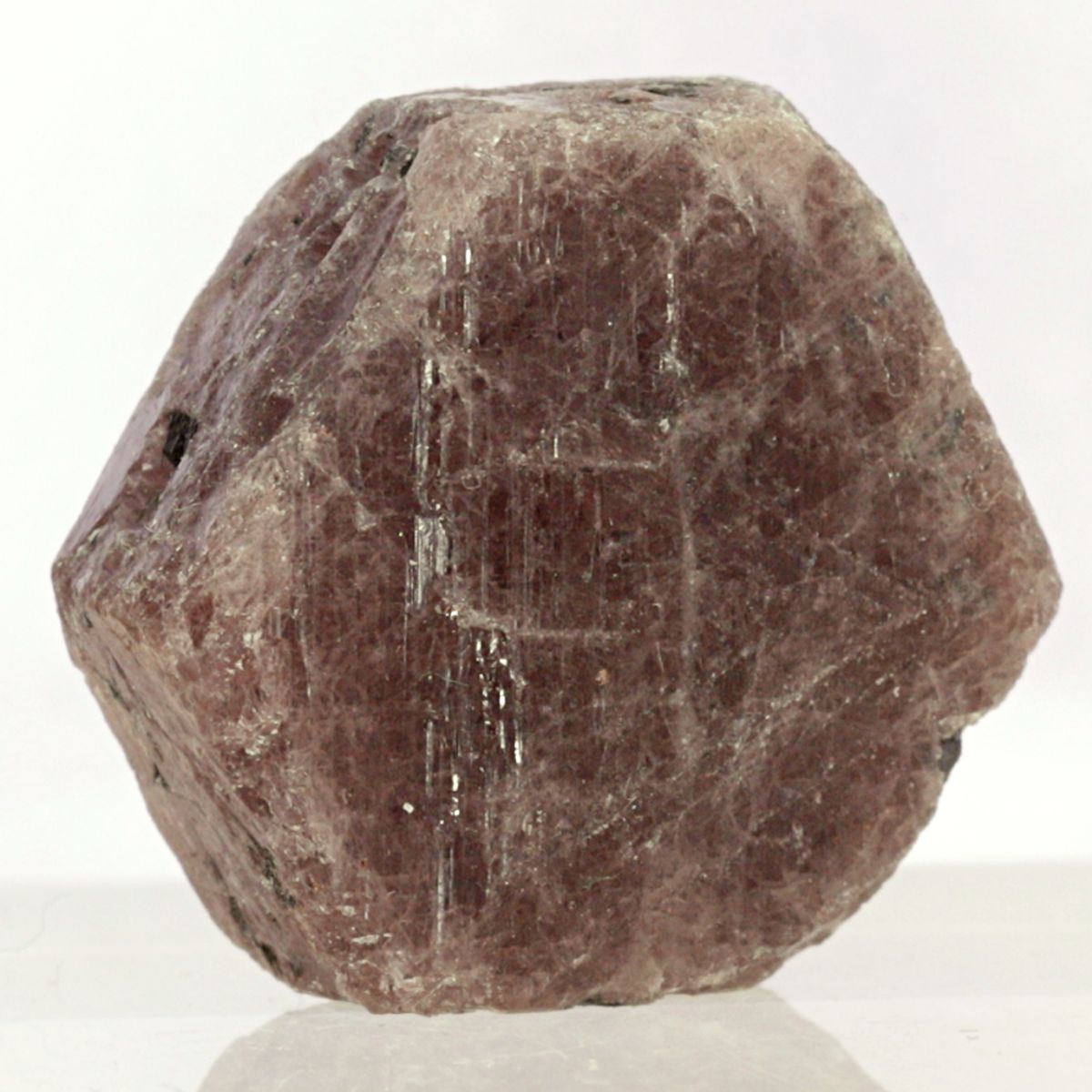 Rød korund, rubin, India
