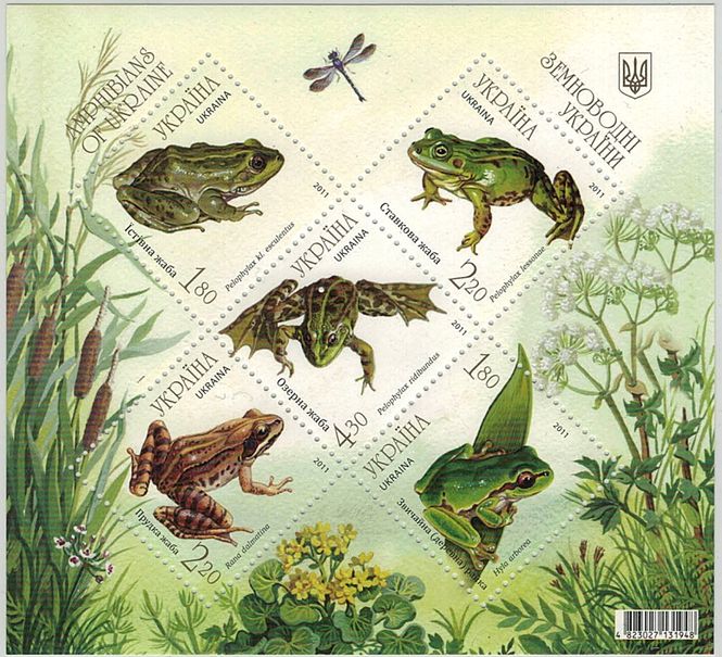 Hovedbilde Ukraina, amfibier, 2011
