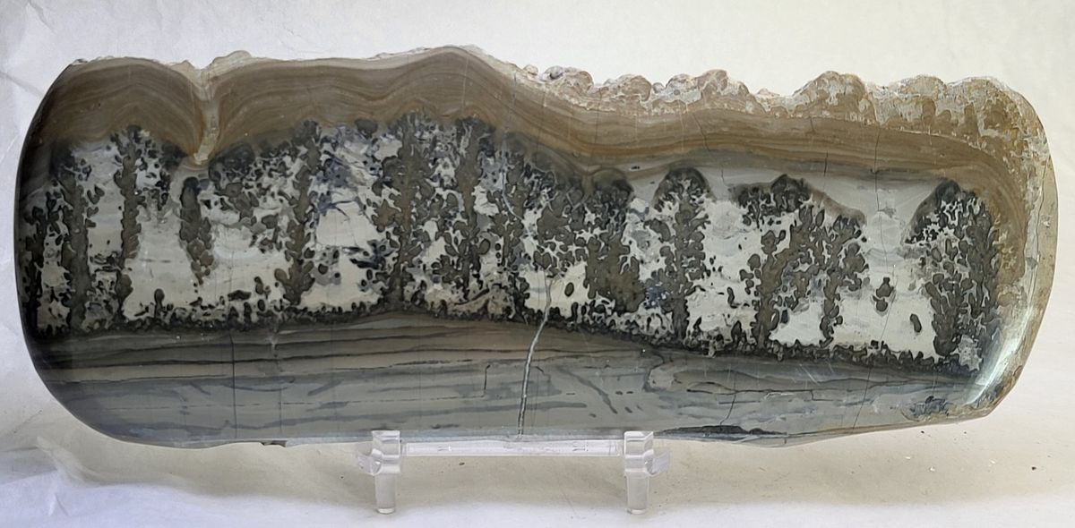 Cotham Marble, landskapsmarmor