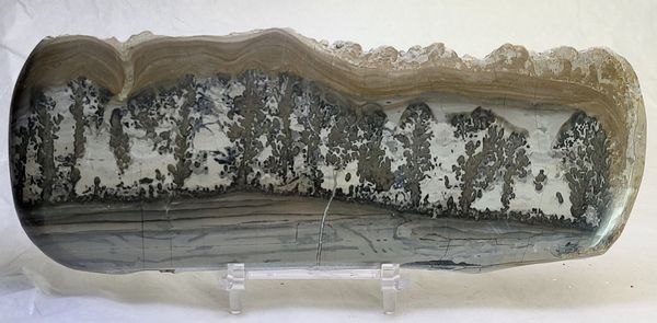 Hovedbilde Cotham Marble, landskapsmarmor