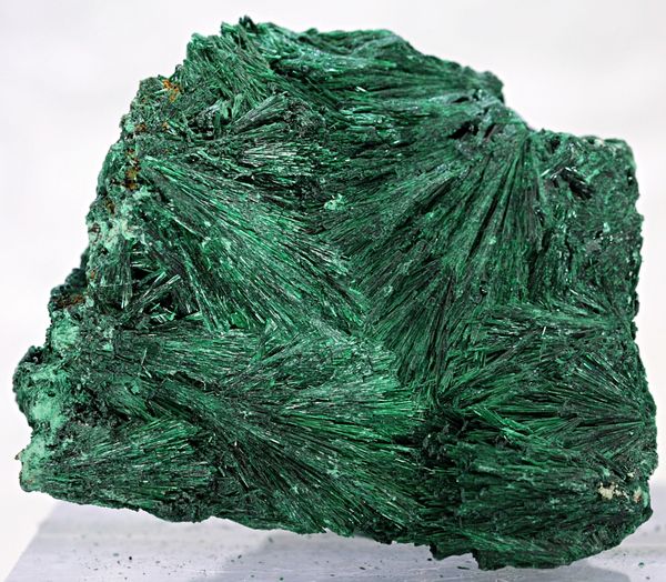 Hovedbilde Silkemalakitt fra D. R. Kongo