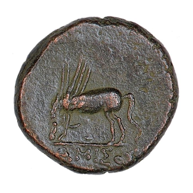Hovedbilde Amisos, Mithradates VI, pegasus