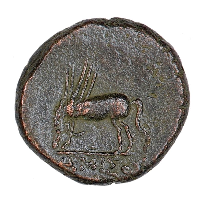 Amisos, Mithradates VI, pegasus