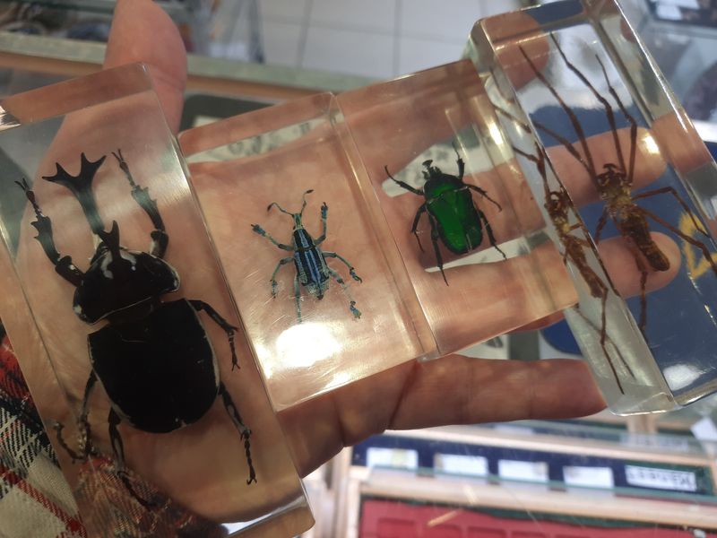 Leddyr/insekt innstøpt i akrylkloss