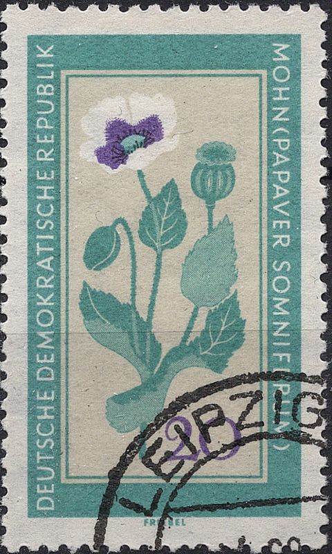 Blomster og planter, Øst-Europa