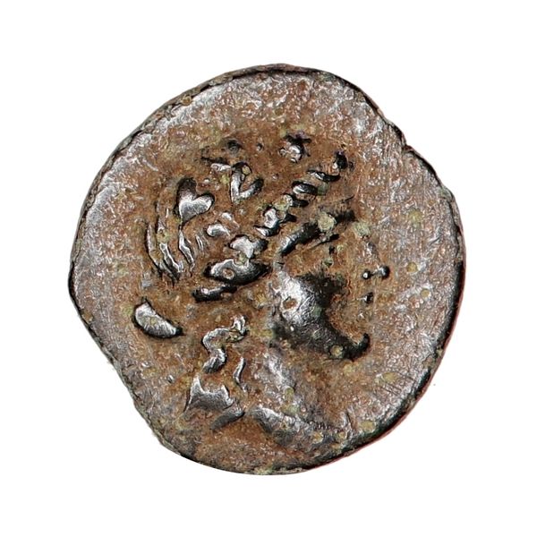 Hovedbilde Bithynia, Prusias II, chalkos, 185-149 f.Kr.