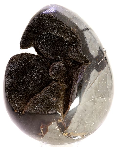 Hovedbilde Septarian (