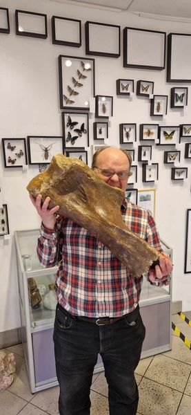 Hovedbilde LEDIG STILLING I BUTIKKEN! SØK SNAREST!