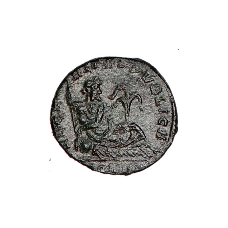 Hanniballianus, år 335-337