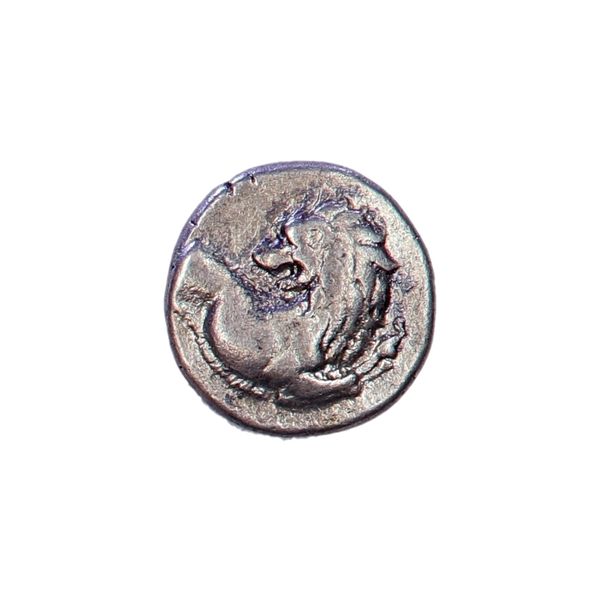 Hovedbilde Chersonesos, løve & kornaks, 380-330 f.Kr.