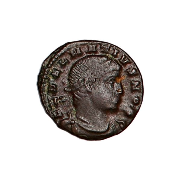 Hovedbilde Delmatius. centenionalis, 335-337