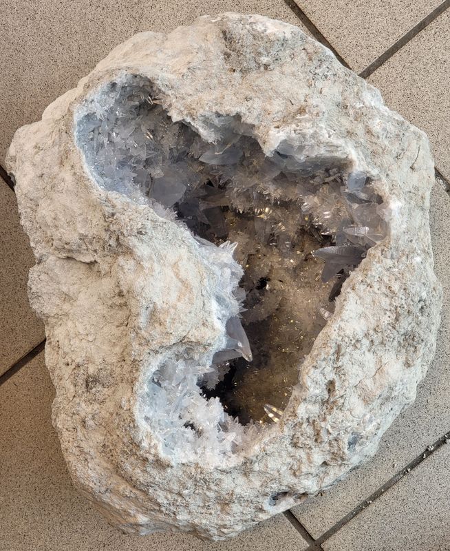 Gigantisk og praktfull cølestingeode, Madagaskar