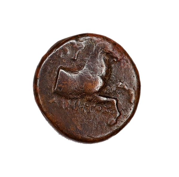 Hovedbilde Hest fra Kyme, 400-300 f.Kr.