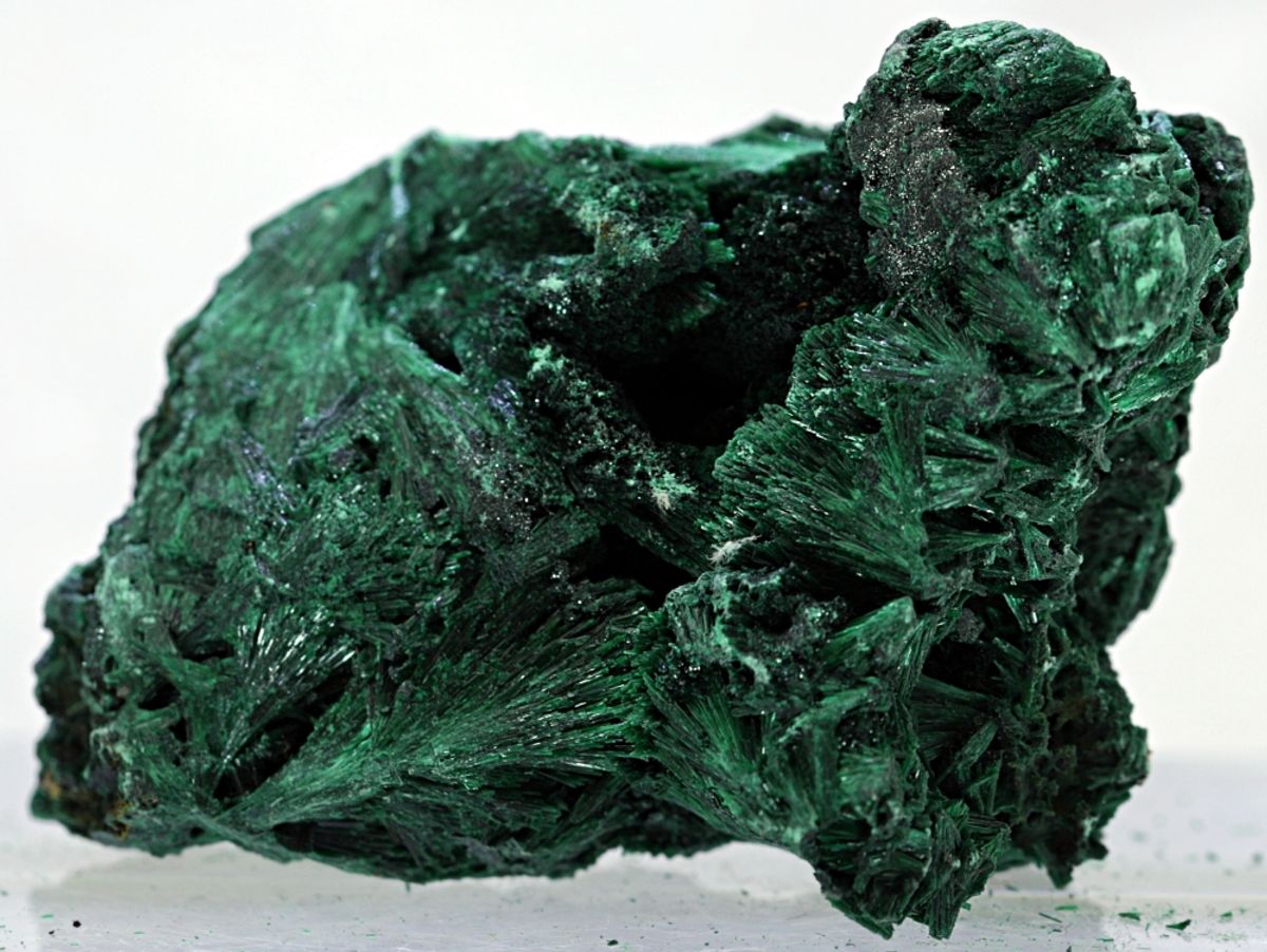Silkemalakitt fra D. R. Kongo
