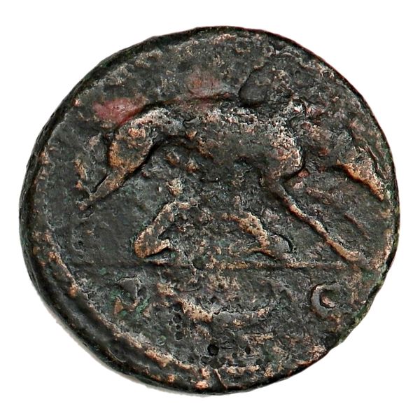 Hovedbilde Antoninus Pius, Romulus & Remus, 138-161