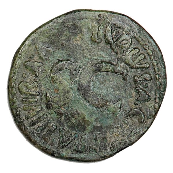 Hovedbilde Augustus, as, år  27 f.Kr.-14 e.Kr.
