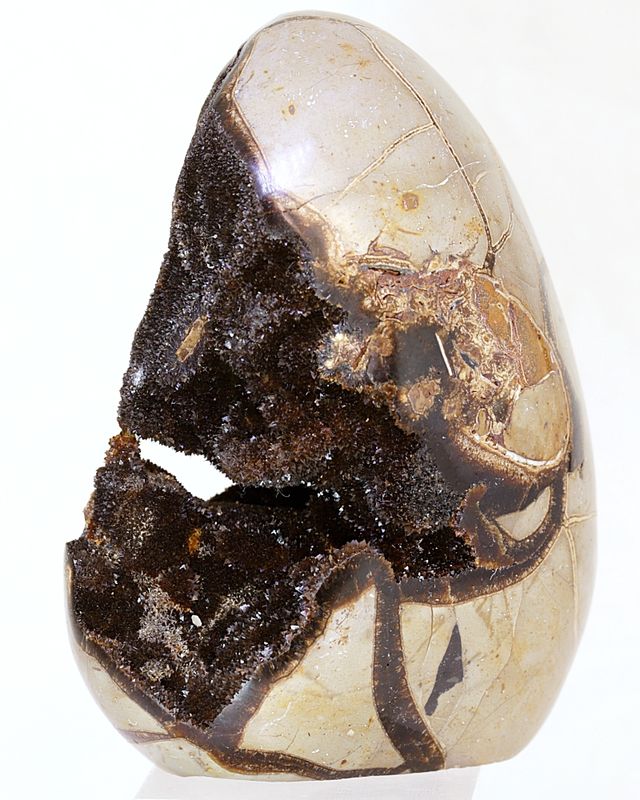 Septarian (
